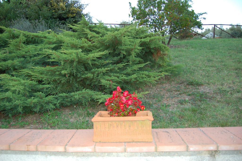 La Casetta Di Barbara อิมปรูเนตา ห้อง รูปภาพ